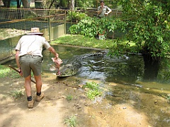 124 Cairns Tropical Zoo